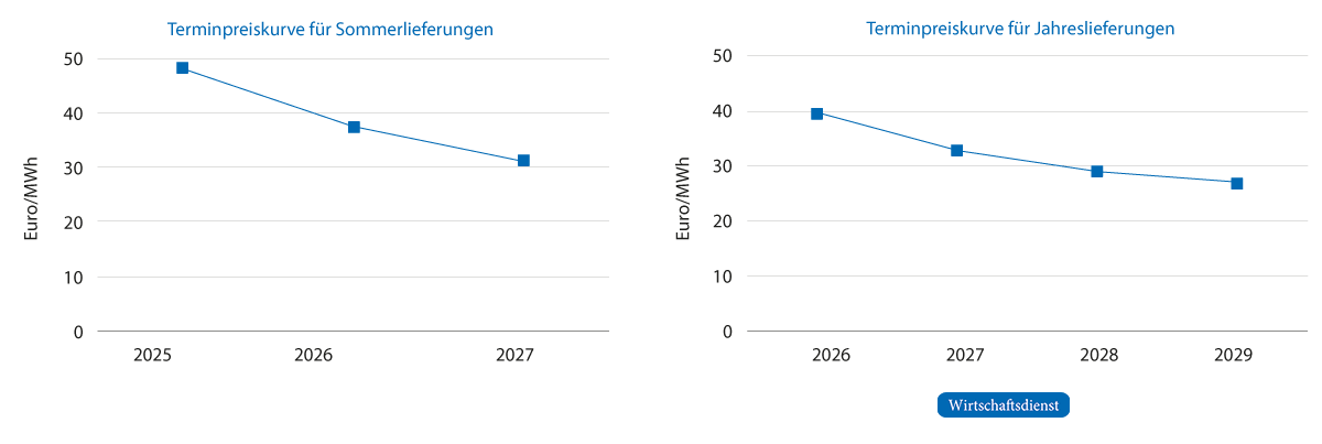 Terminpreise für Gaslieferungen im Marktgebiet von Trading Hub Europe (THE)